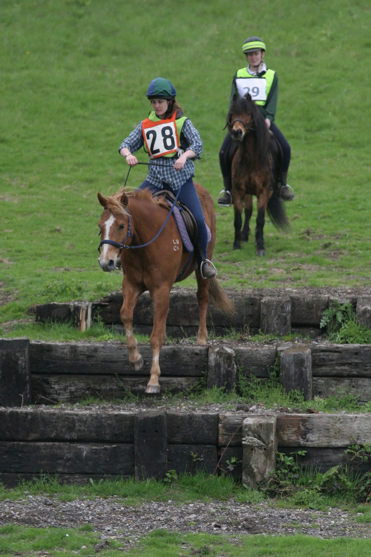 Jak