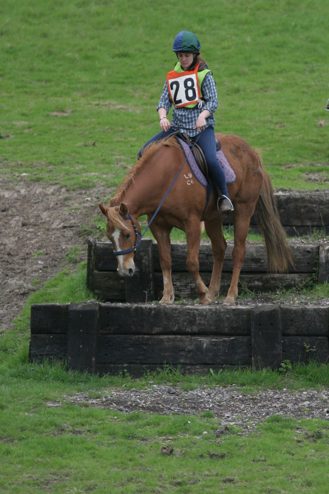Jak