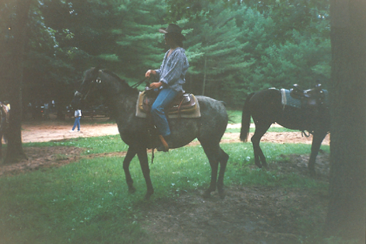 Appaloosa Horse and rider