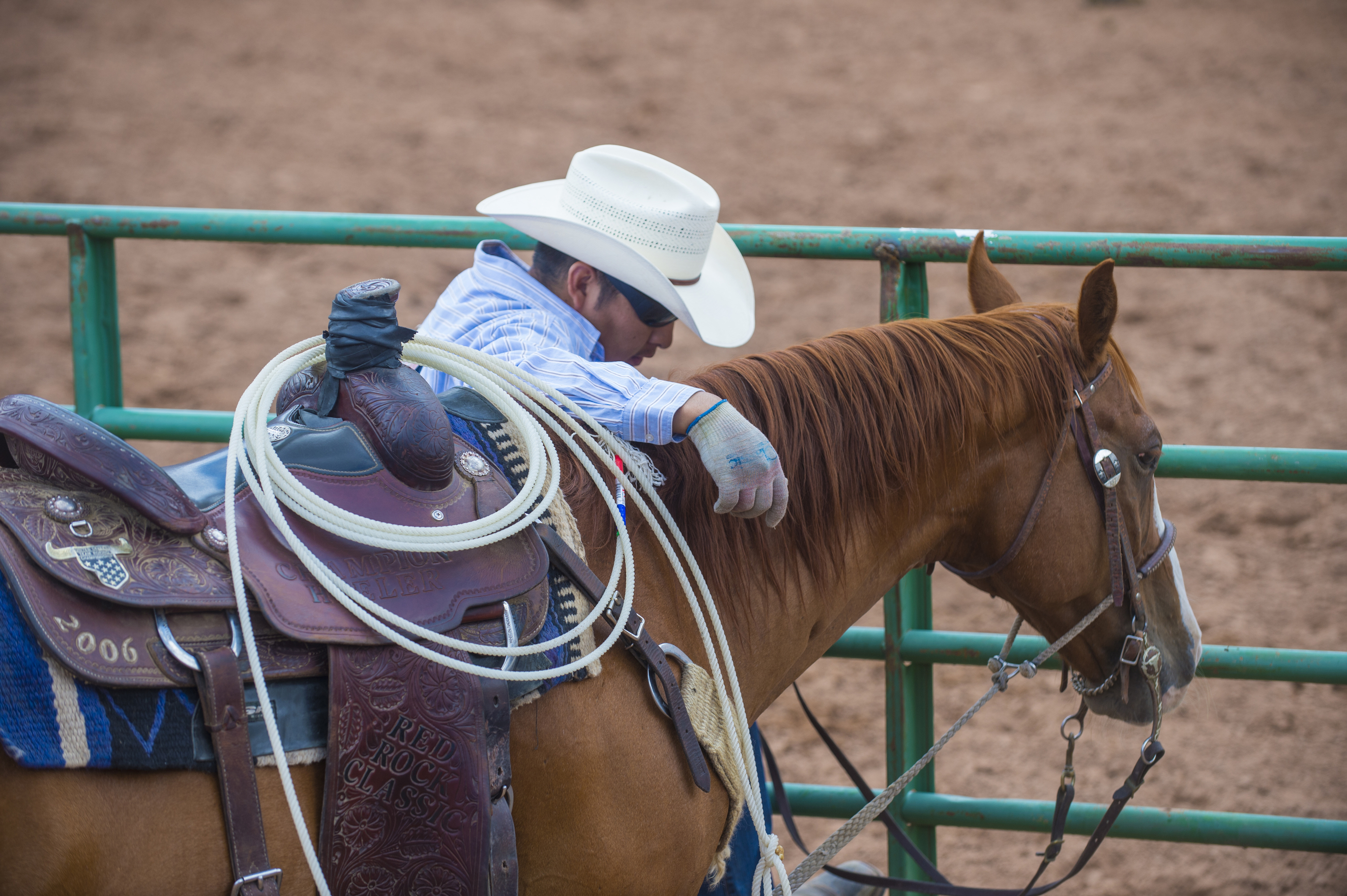 Shut Down Horse