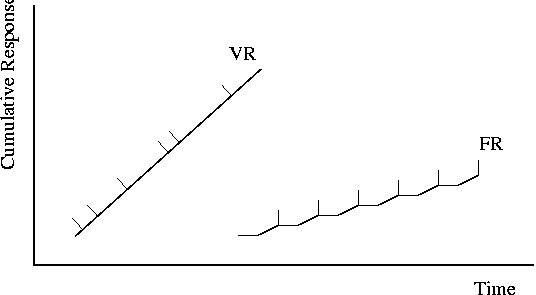 Variable Schedules
